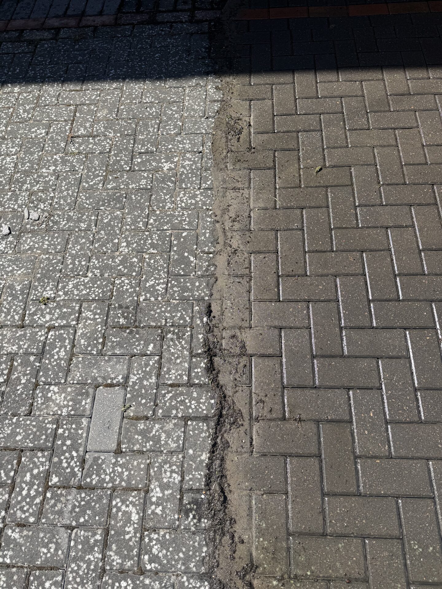 Block paving driveway before and after cleaning