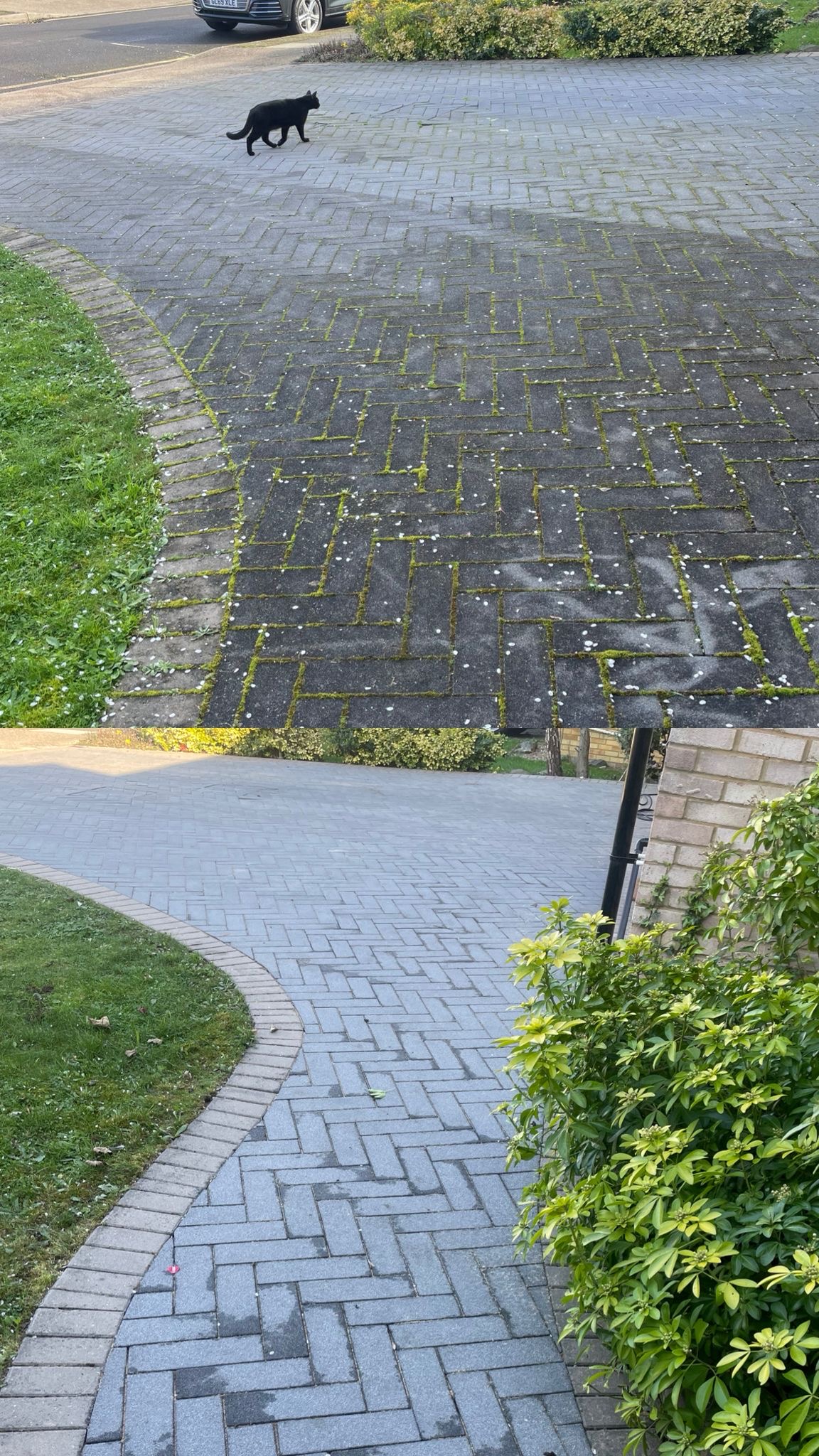 Herringbone block paving driveway before and after cleaning
