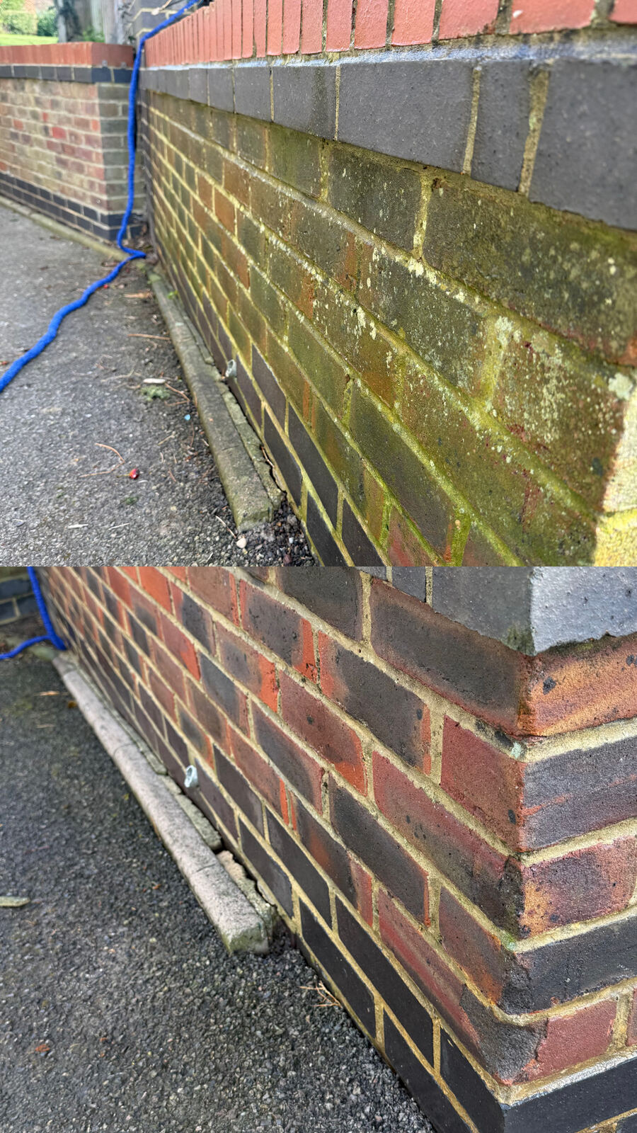 Brick wall before and after moss and algae removal