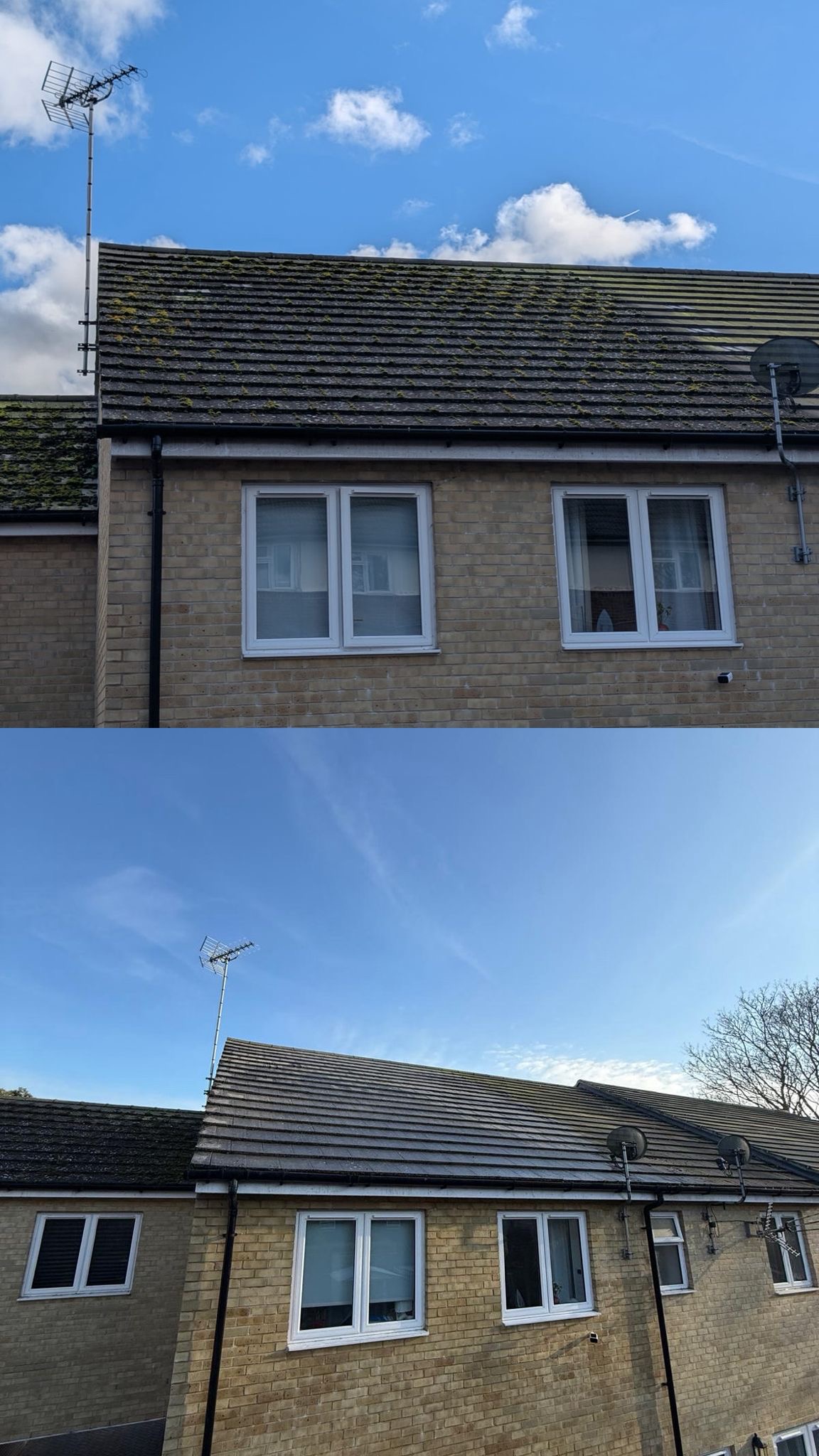 Mossy pitched roof before and after cleaning