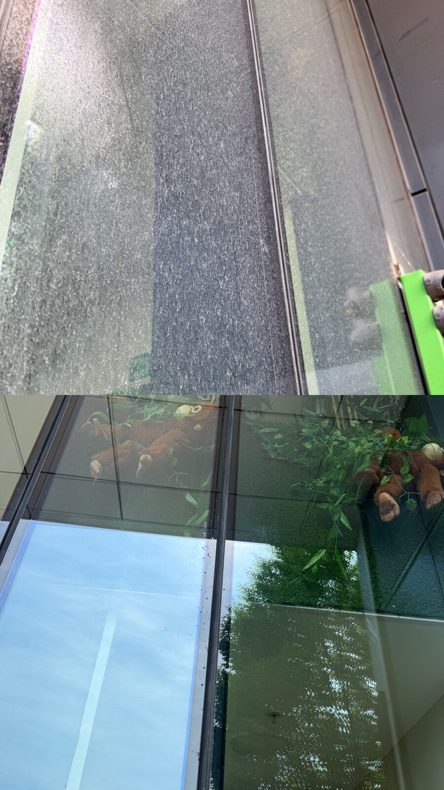 Commercial window before and after clean, showing streak-free glass